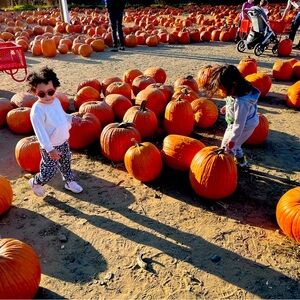 Meet your Posher, Jillian